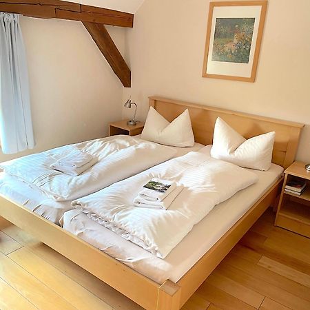 Biohotel Stiftsgut Wilhelmsgluecksbrunn Creuzburg Extérieur photo
